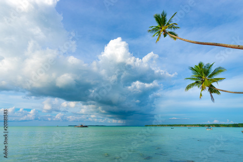 Bending coconut trees over tropical sea © Stéphane Bidouze
