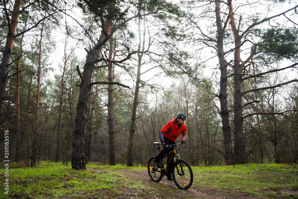 Cyclist Riding Mountain Bike in the Fog on the Trail in the Beautiful Pine Forest. Adventure and Travel Concept.