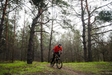 Cyclist Riding Mountain Bike in the Fog on the Trail in the Beautiful Pine Forest. Adventure and Travel Concept.