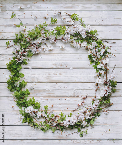 Vignette of green leaves and flowers. Round frame. Old white wooden shabby background with branches of blossoming apricot. Wreath of flowers. Copy space.