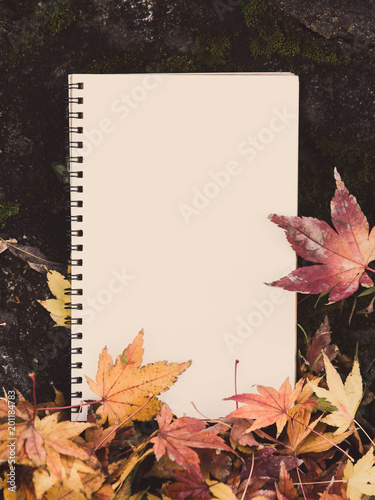    Blank notebook is placed on a rocky ground with red maple leaves.Autumn concept.Vintage tone.