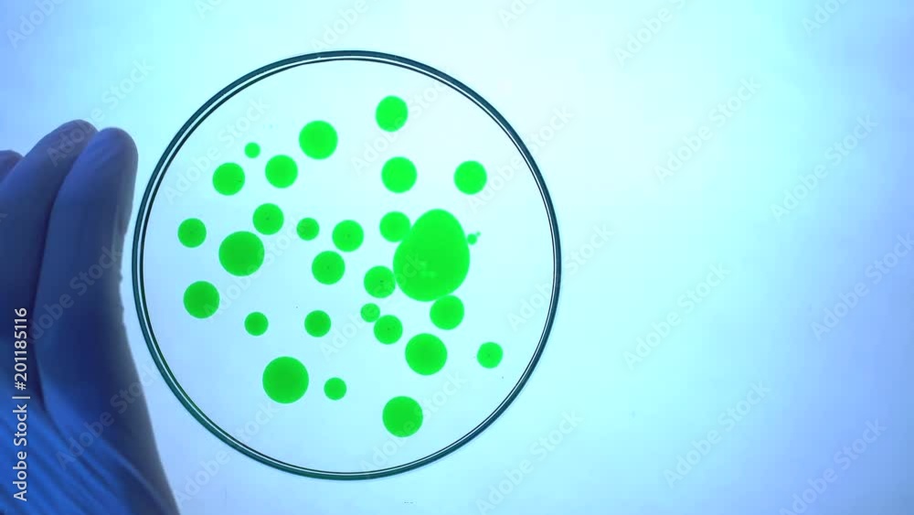 Chemical research in Petri dish. Laboratory pipette with green liquid. Chemical research in Petri dish. Laboratory pipette with green liquid.