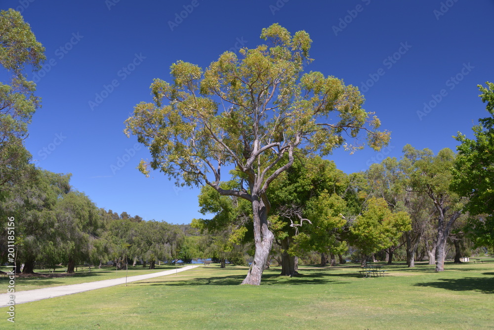 The Pinnacles schedule/Yanchep National Park