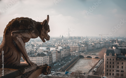 Vista desde la catedral Notre Dame de Paris