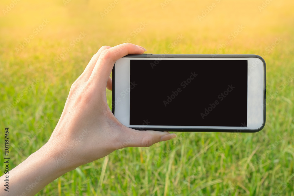 Woman hand holding smartphone landscape view in green grass farm background.blank scren for copy space.