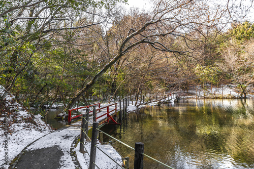 SNOW, SNOW DAY IN KURAGAIKE PARK, FREE PARK FREE ACCESS TO TAKE PHOTOS AND PASS WITH THE FAMILY, IT'S IN TOYOTA JAPAN photo