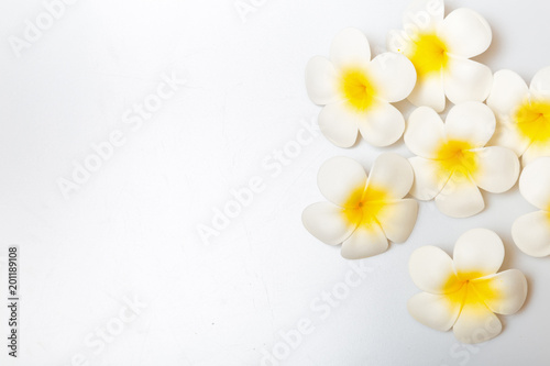 Frangipani flowers on white background. Concept for spa background © PRASERT