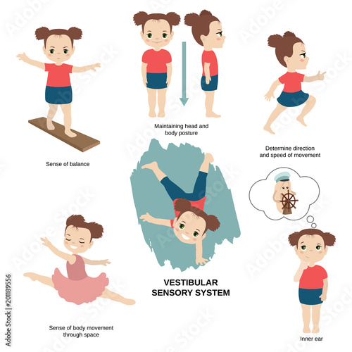 Illustration of human senses