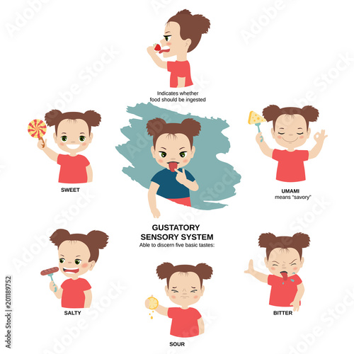 Illustration of human senses