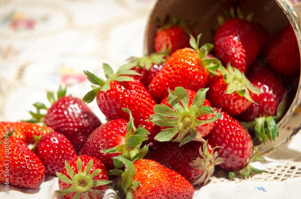 freshly picked strawberries freshly picked strawberries