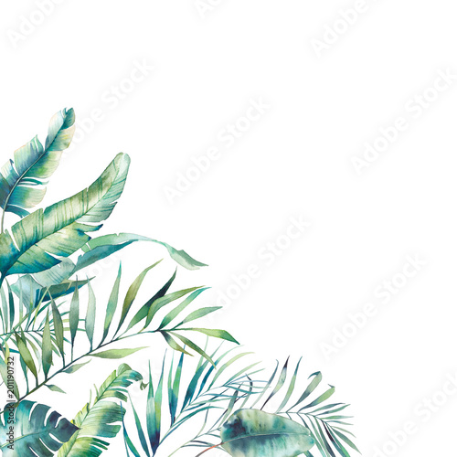 Watercolor summer floral frame. Hand drawn greeting card design with exotic leaves and branches isolated on white background. Palm tree  banana leaves  mostera plants