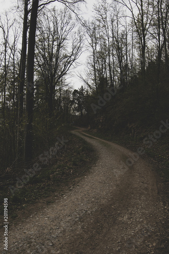 A road through a dark forest with retro filter. 