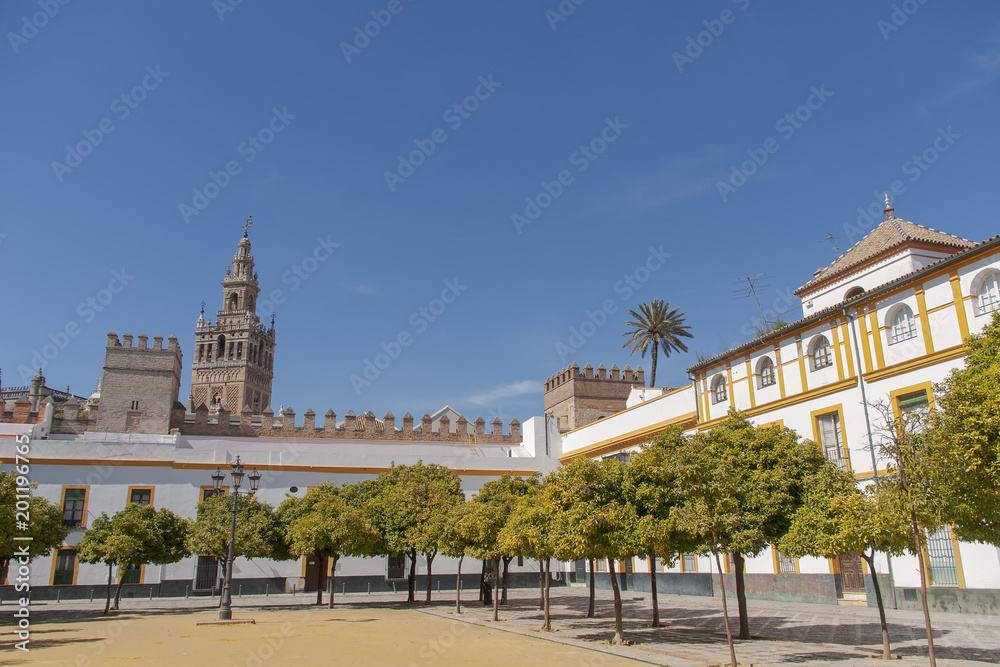 Bonita vista de la Giralda de Sevilla vista desde el patio de Banderas, España