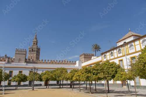 Bonita vista de la Giralda de Sevilla vista desde el patio de Banderas, España © Antonio ciero