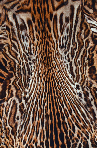 leopard background texture