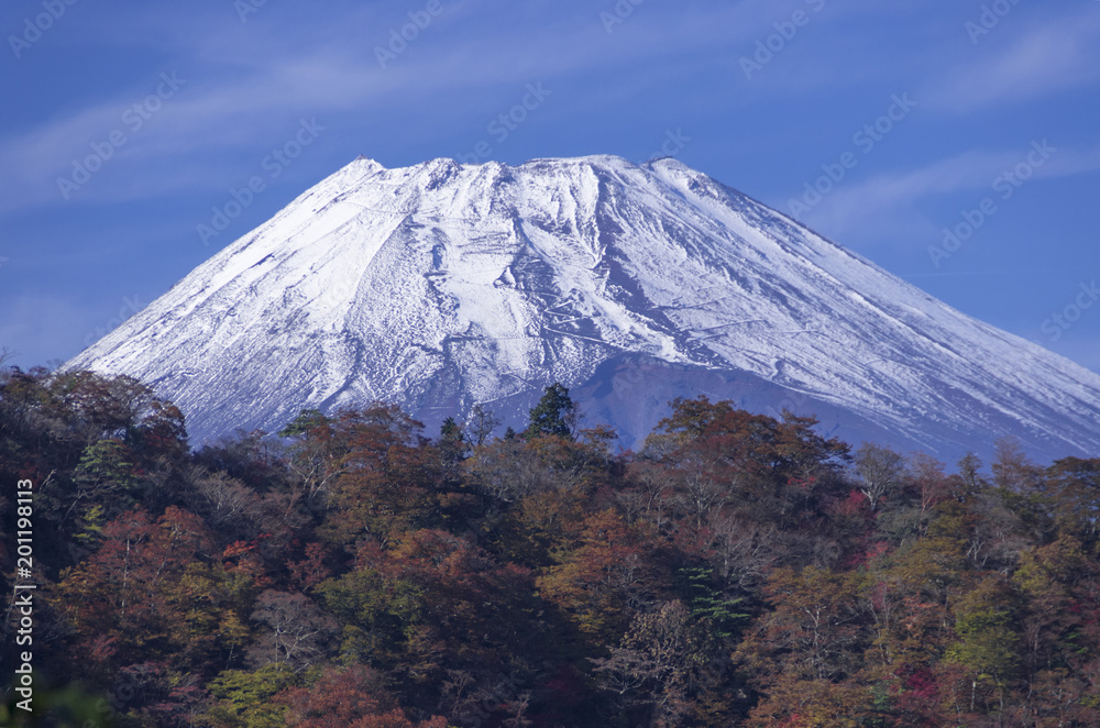 愛鷹山の紅葉と富士山 愛鷹山の紅葉と富士山
