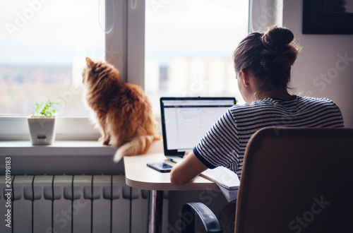 Girl student freelancer working at home on a task, the cat is sitting on the window