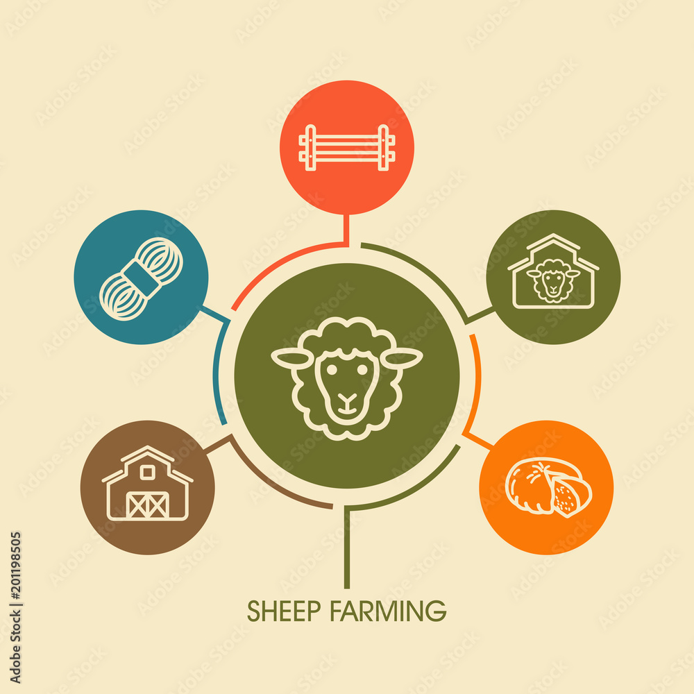 Sheep farming icon and agriculture infographics