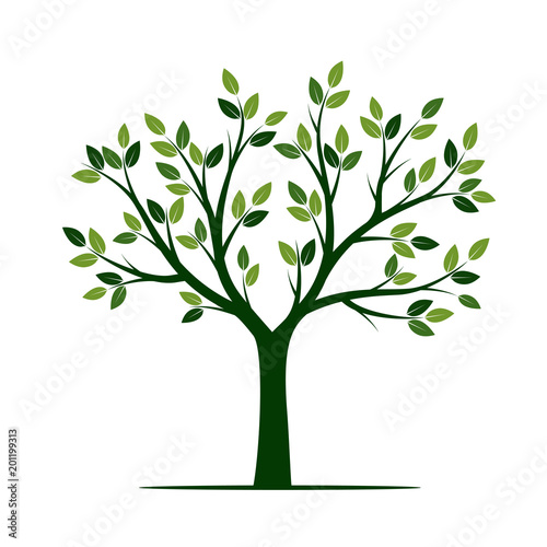 Green Tree. Vector Illustration.