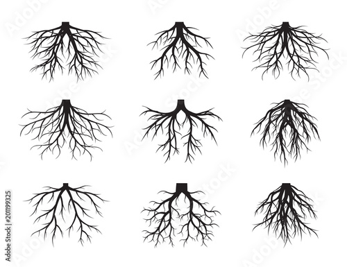 Set Black Roots. Vector Illustration.