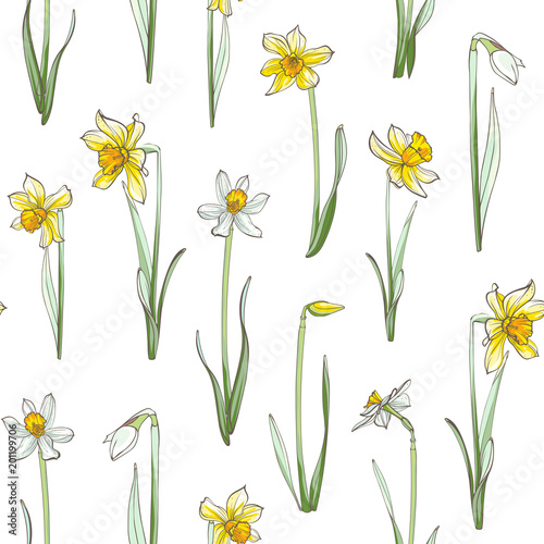 Seamless floral pattern on white background. Hand-drawn flowers - Daffodil.