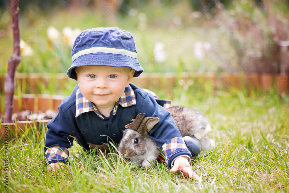Sweet toddler boy in garden, child playing with little bunny, springtime Sweet toddler boy in garden, child playing with little bunny, springtime
