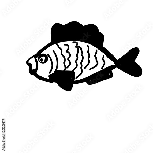 Contour drawing of decorative fish 