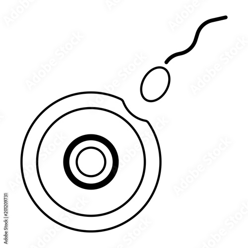 Organe Icon - Eizelle