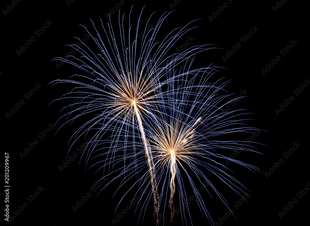 fourth of July Fireworks-blue