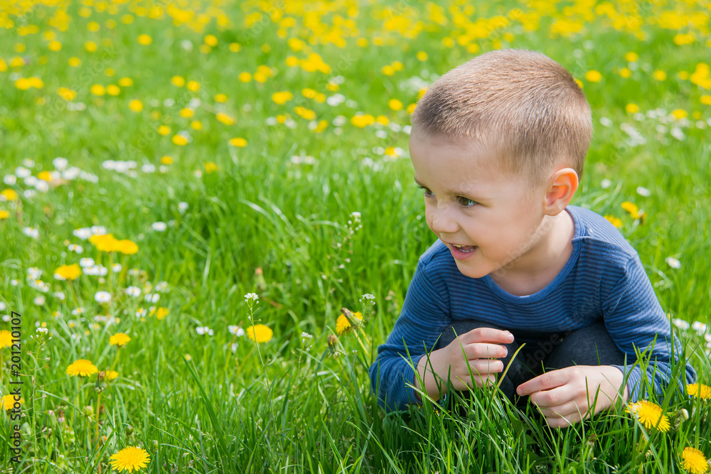 a boy in nature surrounded by grass and dandelion a boy in nature surrounded by grass and dandelion