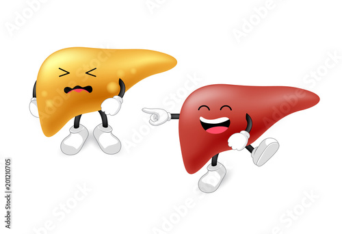 Comparison of healthy liver and fatty live, cartoon character. Liver Disease. Illustration isolated on white background.