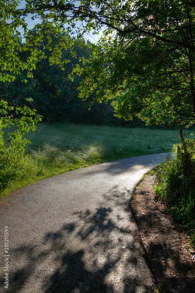 Early morning light in a countryside lane.