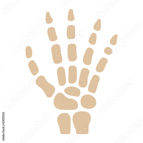 Medizin & Gesundheit Icon - Handknochen