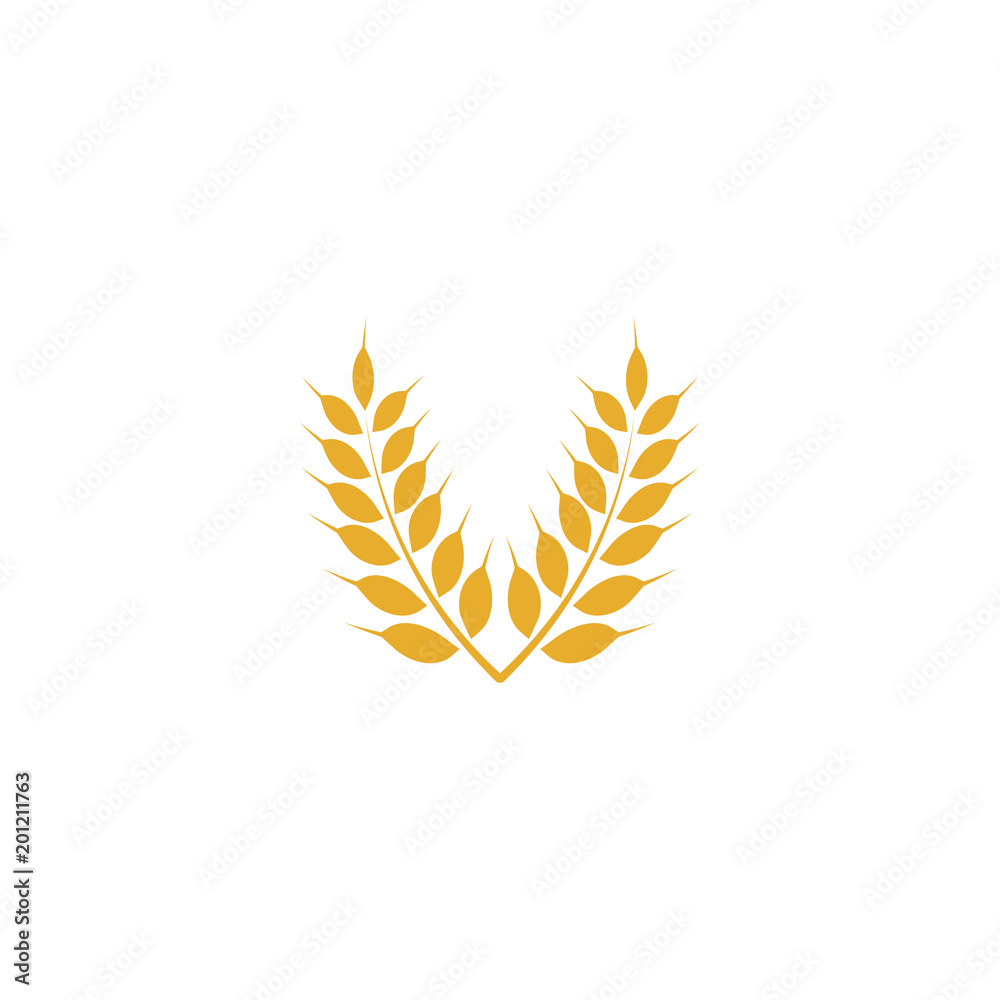 Wheat yellow logo icon template vector Wheat yellow logo icon template vector