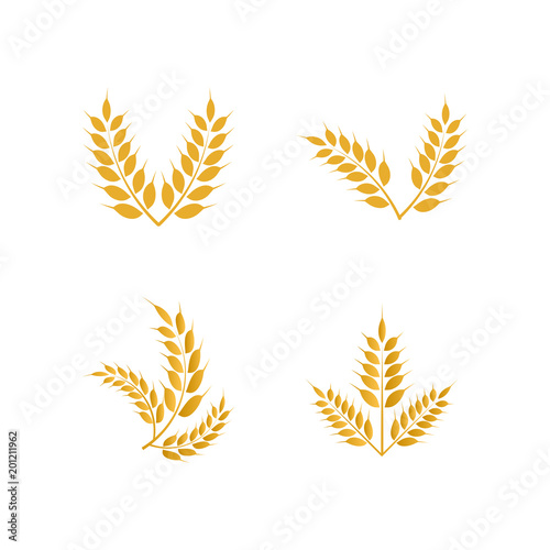 Wheat yellow logo icon template vector