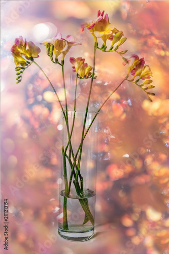 Fressia in vase, gentle, beautiful and fragrant spring color in pastel colors on boceh backgraund. Perfection of nature. photo