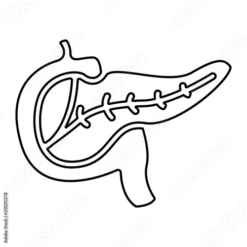 Organe Icon - Pankreas