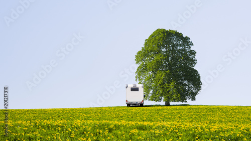 Reisemobil auf Wiese