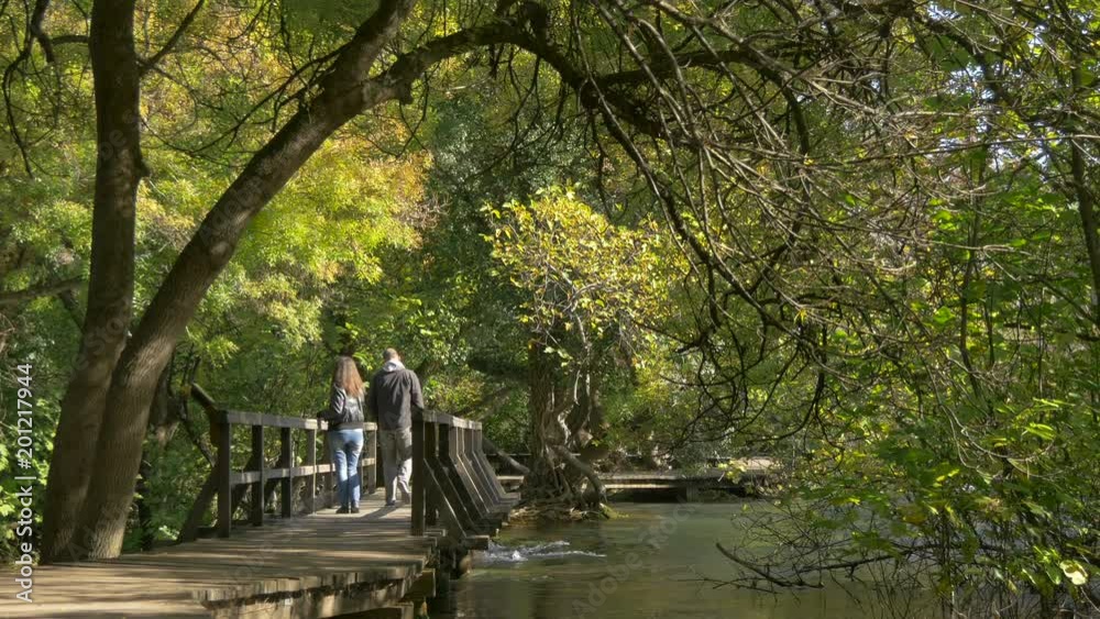 Couple walking on a wooden bridge