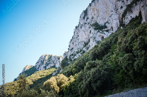 Capri – Italian Landscape