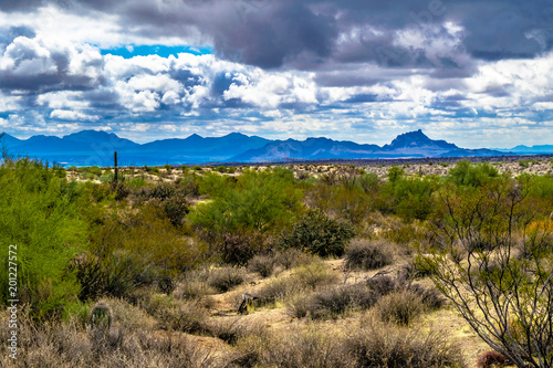 McDowell Wilderness in Arizona Desert © Jeremy Janus