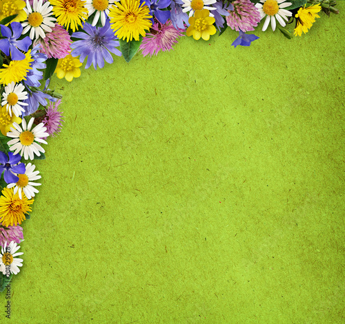 Wild flowers in a frame arr...