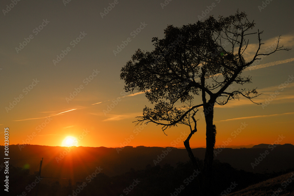 Dawn with silhouetted trees with colorful sky, sun between clouds