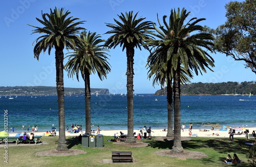 Balmoral beach with palm trees. Entrance of Sydney Harbour with North Head and South Head in the background. photo