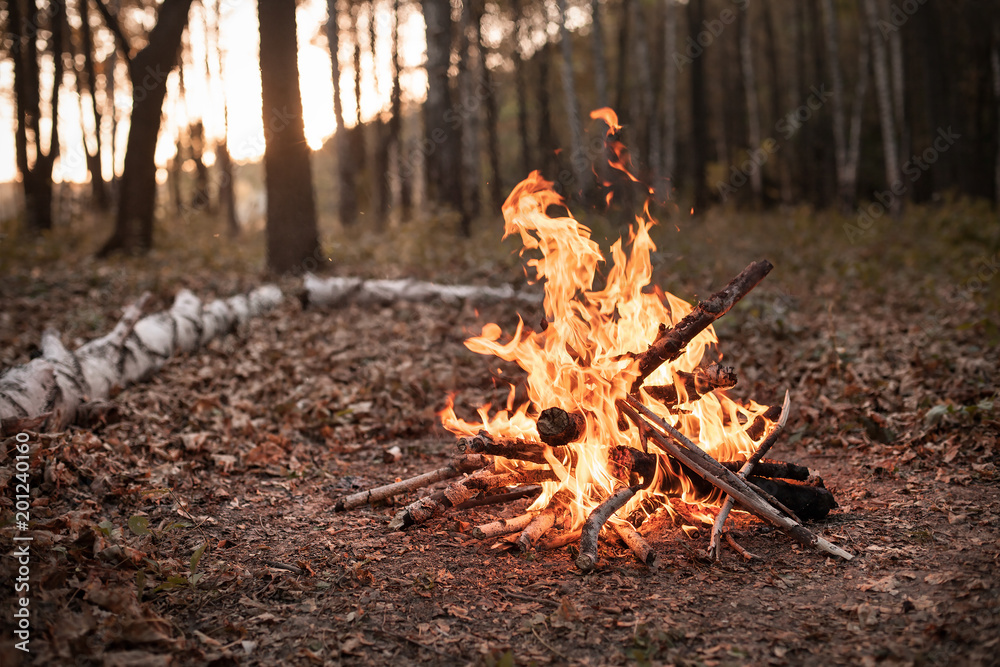 Bonfire in the autumn forest under the light of sunset Bonfire in the autumn forest under the light of sunset