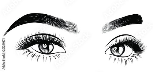 Hand-drawn woman's sexy luxurious eye with perfectly shaped eyebrows and full lashes. Idea for business visit card, typography vector. Perfect salon look.
