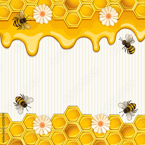 Beautiful background with bees,honey, flowers and honeycomb