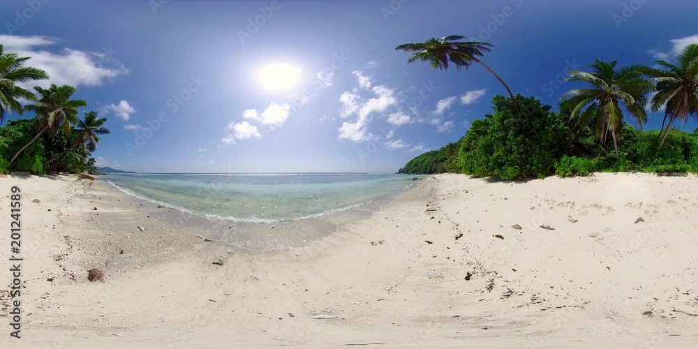 360 VR landscape – 4K deserted natur beach with palm trees, recorded in 8K
