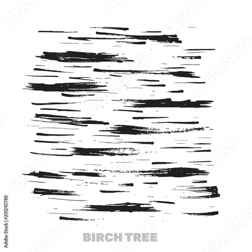 Birch Tree Bark Stains. Texture from artistic brush strokes. Abstract Nature Design for Wallpaper or T-shirt Prints. Vector illustration