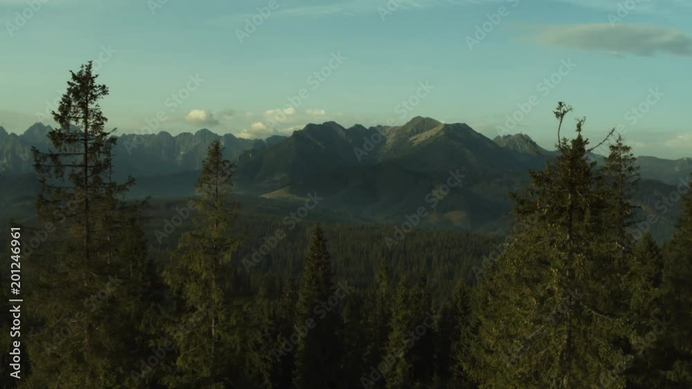 Drone flying between pine trees into a mountain valley 4k HDR H264 Drone flying between pine trees into a mountain valley 4k HDR H264